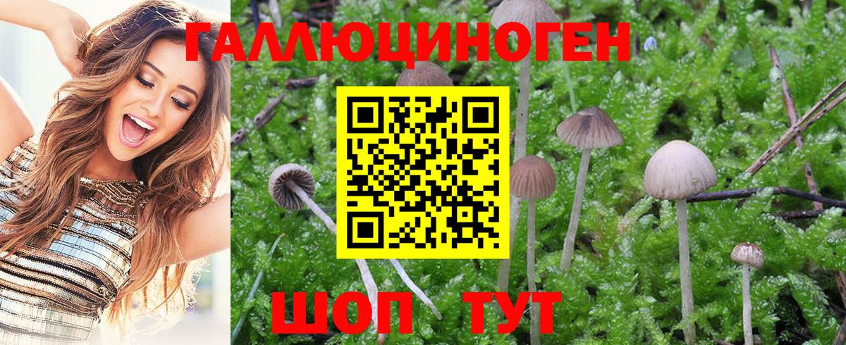 Галлюциногенные грибы MAGIC MUSHROOMS Усть-Илимск