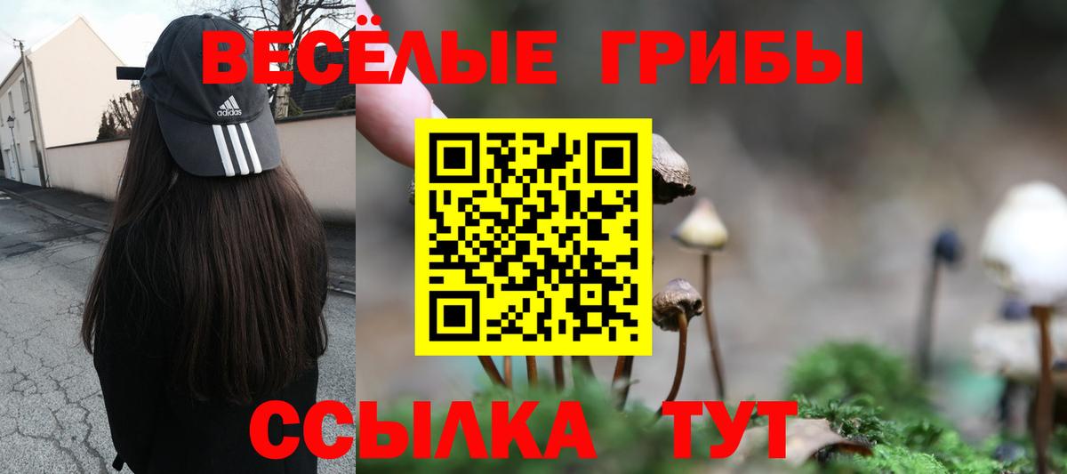 Усть-Илимск  Псилоцибиновые грибы ЛСД  Вход с VPN  купить   Псилоцибиновые грибы прущие грибы 